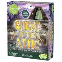 Ghost in the Attic