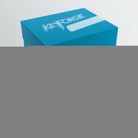 KeyForge: Gemini – Deck Box – Blue