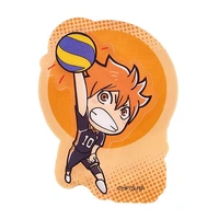 Haikyu!! Acrylic Smartphone Grip Shoyo Hinata