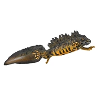 CollectA - Great Crested Newt Figurine (L)