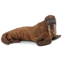 CollectA - Walrus Figurine (L)