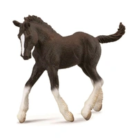 CollectA - Shire Horse Foal Figurine - Black (M)