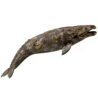 CollectA - Gray Whale Figurine (XL)