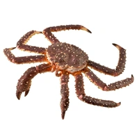 CollectA - King Crab Figurine (XL)