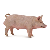 CollectA - Boar Figurine (M)