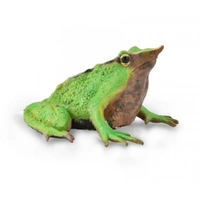 CollectA - Darwin's Frog Figurine (M)