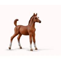 CollectA - Arabian Foal Chestnut Figurine (M)