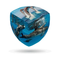 Queen's Slipper Canasta