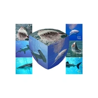 V-Cube Sharks 2X2 Pillow