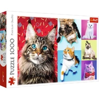 Puzzle - Trefl Park - Happy Cats 1000Pc