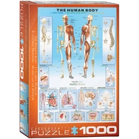 Puzzle - Eurographics - The Human Body 1000pc