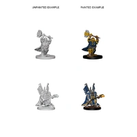 D&D Nolzurs Marvelous Unpainted Miniatures Dwarf Male Paladin
