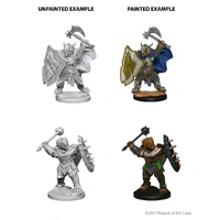 D&D Nolzurs Marvelous Unpainted Miniatures Dragonborn Male Paladin