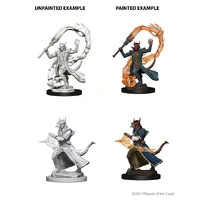 D&D Nolzurs Marvelous Unpainted Miniatures Tiefling Male Sorcerer