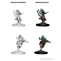 D&D Nolzurs Marvelous Unpainted Miniatures Air Genasi Female Rogue