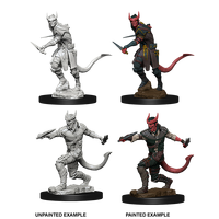 D&D Nolzurs Marvelous Unpainted Miniatures Tiefling Male Rogue