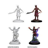 D&D Nolzurs Marvelous Unpainted Miniatures Male Tiefling Warlock