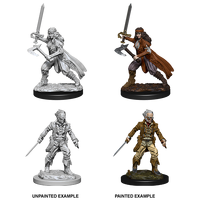 D&D Nolzurs Marvelous Unpainted Miniatures Vampire Hunters