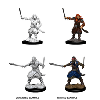 D&D Nolzurs Marvelous Unpainted Miniatures Bandits