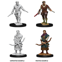 D&D Nolzurs Marvelous Unpainted Miniatures Male Human Rogue