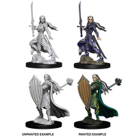 D&D Nolzurs Marvelous Unpainted Miniatures Female Elf Paladin