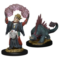 WizKids Wardlings RPG Figures Boy Warlock & Lizard
