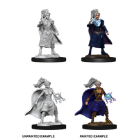 D&D Nolzurs Marvelous Unpainted Miniatures Female Human Sorcerer