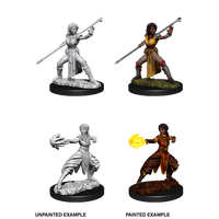 D&D Nolzurs Marvelous Unpainted Miniatures Female Half-Elf Monk