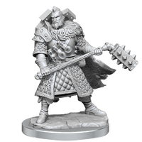 D&D Frameworks Human Male Fighter