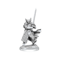 D&D Frameworks Dragonborn Paladin Male