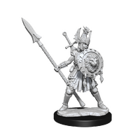 D&D Frameworks Human Fighter Female