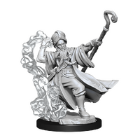 D&D Frameworks Human Wizard Male