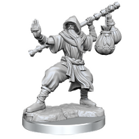 D&D Frameworks Human Monk Male