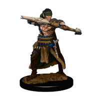 Pathfinder Battles Premium Painted Figure Half-Elf Ranger Male
