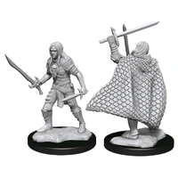 Pathfinder Deep Cuts Unpainted Miniatures Elf Fighter Male