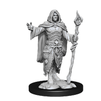 D&D Nolzurs Marvelous Unpainted Miniatures Human Druid Male