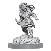 D&D Nolzurs Marvelous Miniatures Halfling Rogue Female