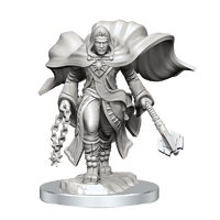 D&D Nolzurs Marvelous Unpainted Miniatures Aasimar Cleric Male