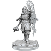 D&D Nolzurs Marvelous Miniatures Half-Elf Warlock
