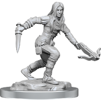 D&D Nolzurs Marvelous Unpainted Miniatures Half-Elf Rogue Female