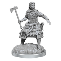 D&D Nolzurs Marvelous Unpainted Miniatures Human Fighters