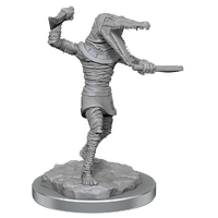 D&D Nolzurs Marvelous Unpainted Miniatures Mummies