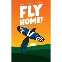 Fly Home