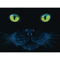 Puzzle - Sunsout - Black Cat 1000Pc