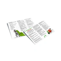 Parable Zines - Christmas Crisis